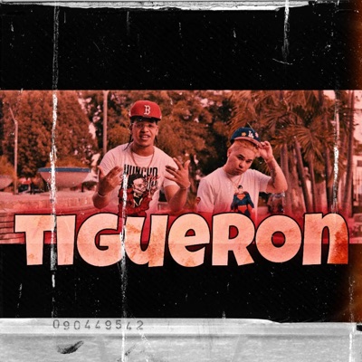 Tigueron (feat. Raffy El Chamakitooh) - Single