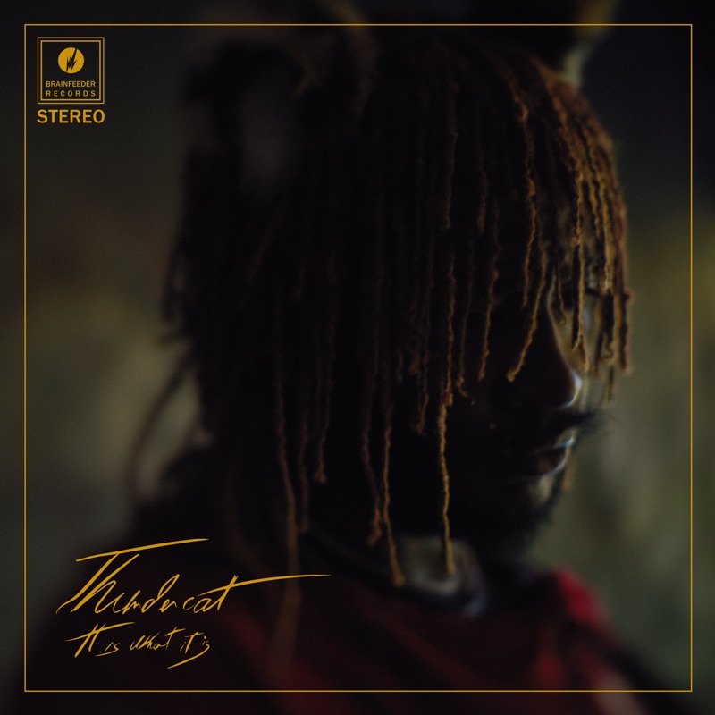 Funny Thing by Thundercat album cover