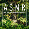 鳥鳴 - 貴族音樂ASMR