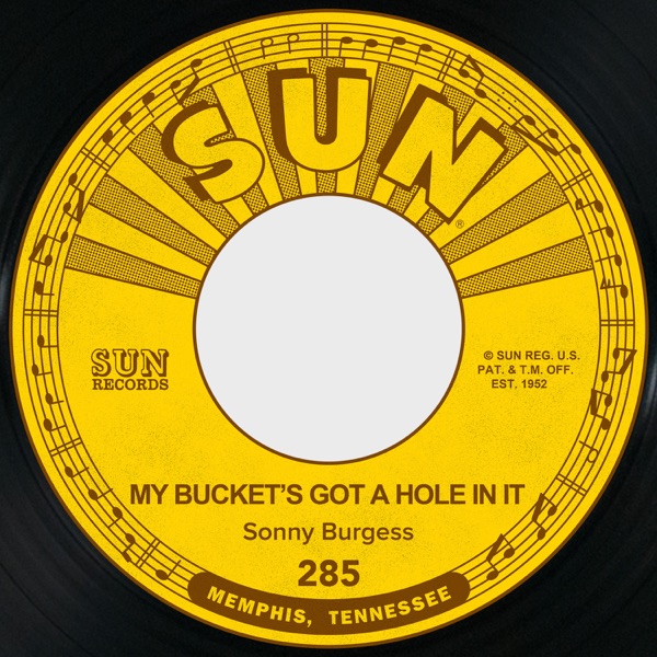 My Bucket's Got a Hole in It / Sweet Misery - Single