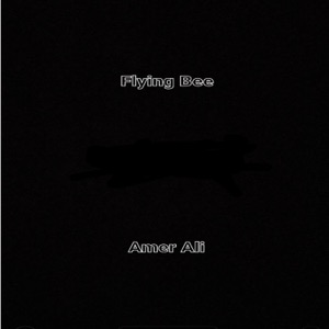 Flying Bee (feat. Ryan Martin, Jerry Martin & Michael Small)