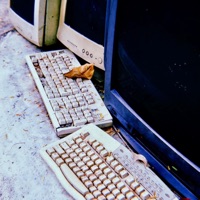 True - Single - Kind Kid