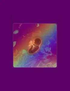 Escucha a Candela Redin, mira vídeos musicales, lee la biografía, consulta fechas de giras y mucho más.