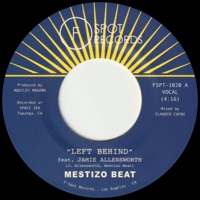 Mestizo Beat Feat. Jamie Allensworth Ablum Cover