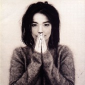 Björk - Venus As A Boy