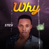 Why - Single