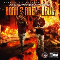 Born 2 Raise Hell (feat. Baby9ne) - Kd Da Shooter