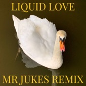 Liquid Love (Mr Jukes Remix) artwork