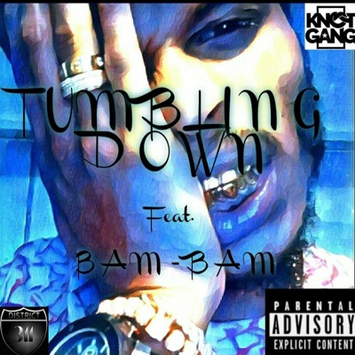 Tumbling Down (feat. Bam-Bam) - Single