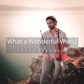 What a Wonderful World artwork