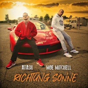 Richtung Sonne (feat. Moe Mitchell)