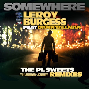 Somewhere (PL Sweets Passenger Remixes) [feat. Dawn Tallman] - Single