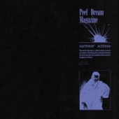 Peel Dream Magazine - Up and Up