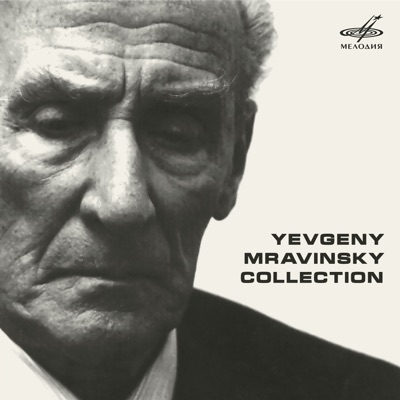 Symphony No. 6 in B Minor, Op. 74 "Pathétique": IV. Finale - Adagio lamentoso-thumbnail