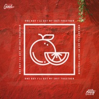 One Day I'll Get My Shit Together - Single - Myer Clarity