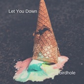 Birdhole - Let You Down