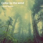 Come to the Wind artwork