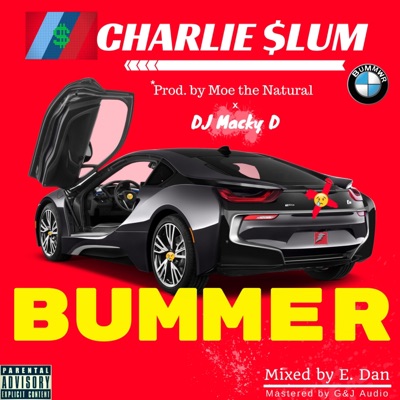 Bummer - Single