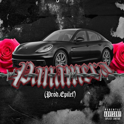 Panamera (feat. c$t) - Single