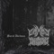 Sacred Darkness (feat. Dxvdxnd) - Chxeu lyrics
