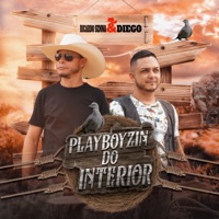 Playboyzin do Interior - Single - Ricardo Senna & Diego
