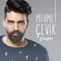 CICEGIM