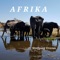 Afrika - Wolfgang Vrecun lyrics
