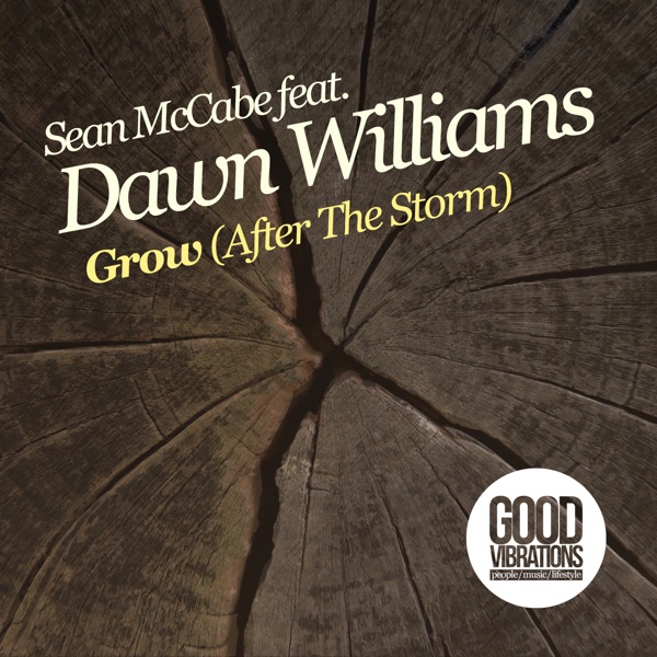 Grow (After the Storm) [feat. Dawn Williams] - EP