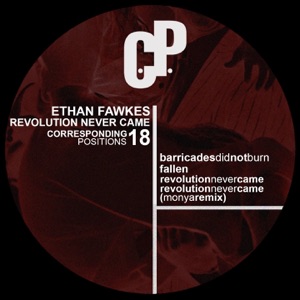 Revolution Never Came - EP