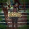 Banga - D'banj lyrics