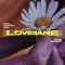 Lovesane - Jesse Barrera & Ryan Mitchell Grey lyrics
