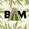 Bam - Single