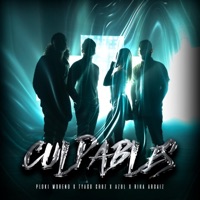Culpables (feat. Tyago Cruz, Azul & Ploki Moreno) - Single - Rika Argaiz