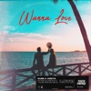 Wanna Love - Single