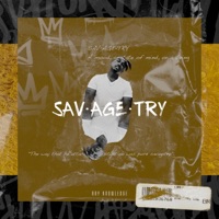 Savagetry - Single - Ray Knowledge