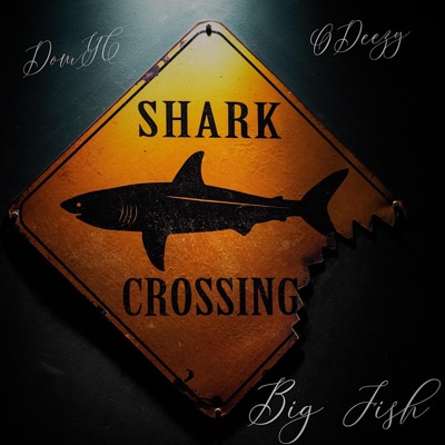 Big Fish (feat. Odeezy) - Single