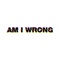 Am I Wrong (DJ Pierre 'Wildpitch' Remix) - Etienne de Crécy lyrics