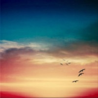 Summer - EP - Trey Dark