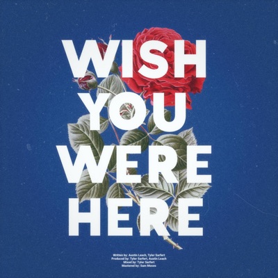 Wish You Were Here - Single