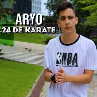 24 De Karate - Single - Aryo