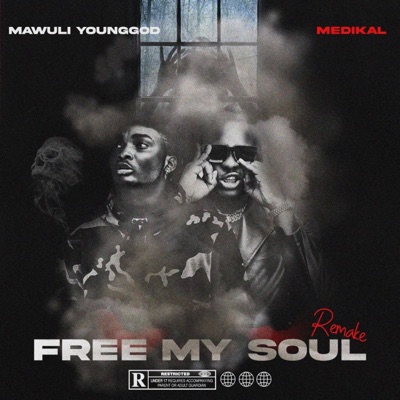 FREE MY SOUL (feat. Medikal) [Remix] [Remix] - Single