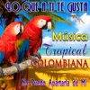 Lo Que a Ti Te Gusta, Música Tropical Colombiana (No Puedo Apartarla de Mí)