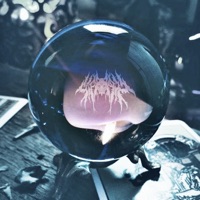 Crystal Ball - Single - Scriptz