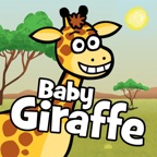 Baby Giraffe