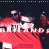 Bailando (feat. Oudan, Jc Janka & Shoplin Music) - Single