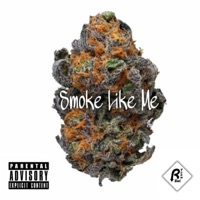 Smoke Like Me (feat. Trahma & S.U.R.E.) - Single - S. Beezy