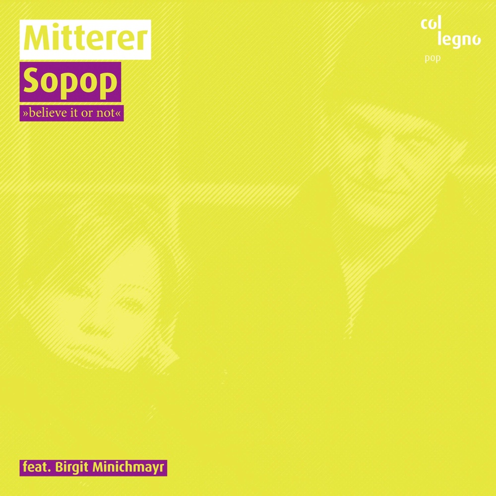 Обложка альбома «Sopop - Believe It or Not (feat. Birgit Minichmayr)» — Wolfgang Mitterer