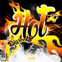 Hot - Single - Bigroots