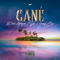 Gané (feat. Young Eiby & T javi) - Single - Dani Alphajet