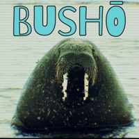 Busho - Single - Damien Hendrix